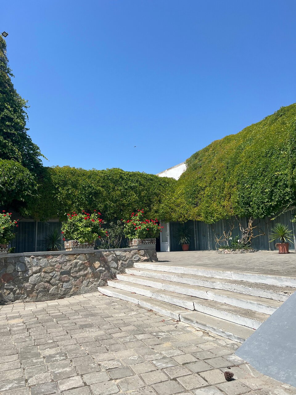 Гостиница Крымское Приазовье Мысовое-172