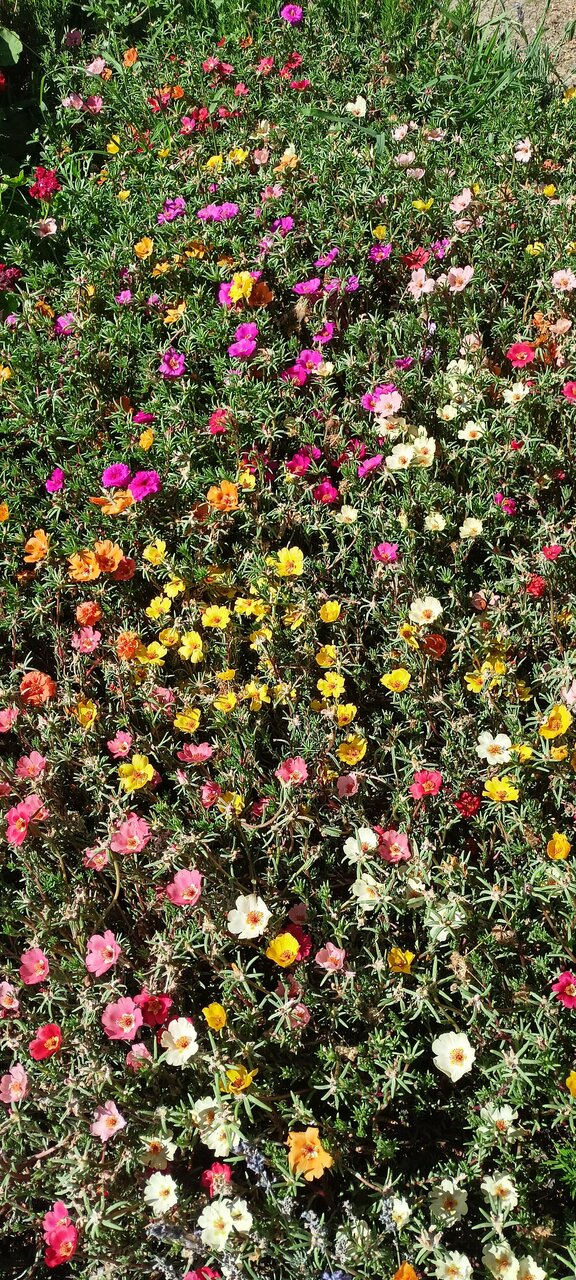 Гостиница Крымское Приазовье Мысовое-151