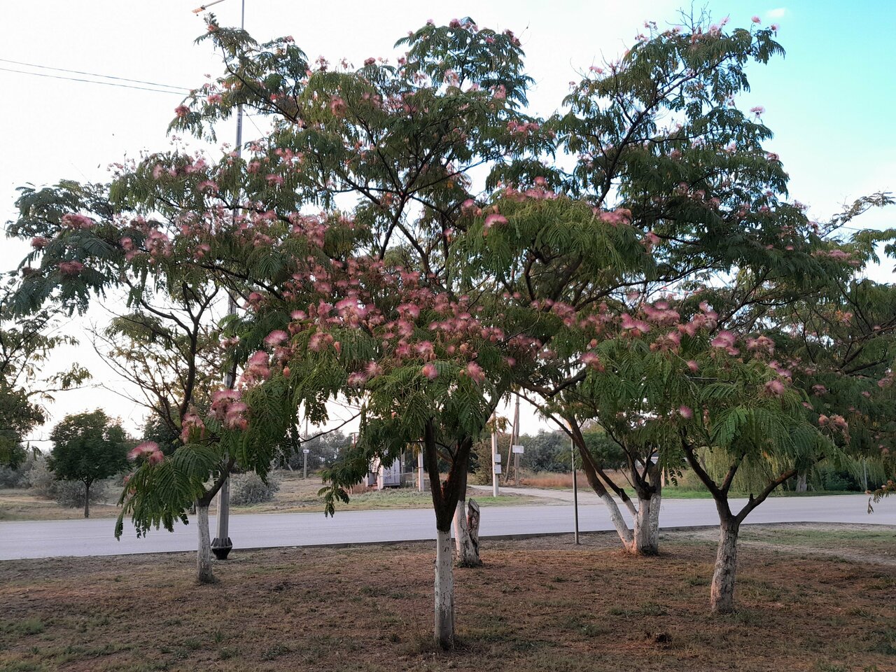 Гостиница Крымское Приазовье Мысовое-146