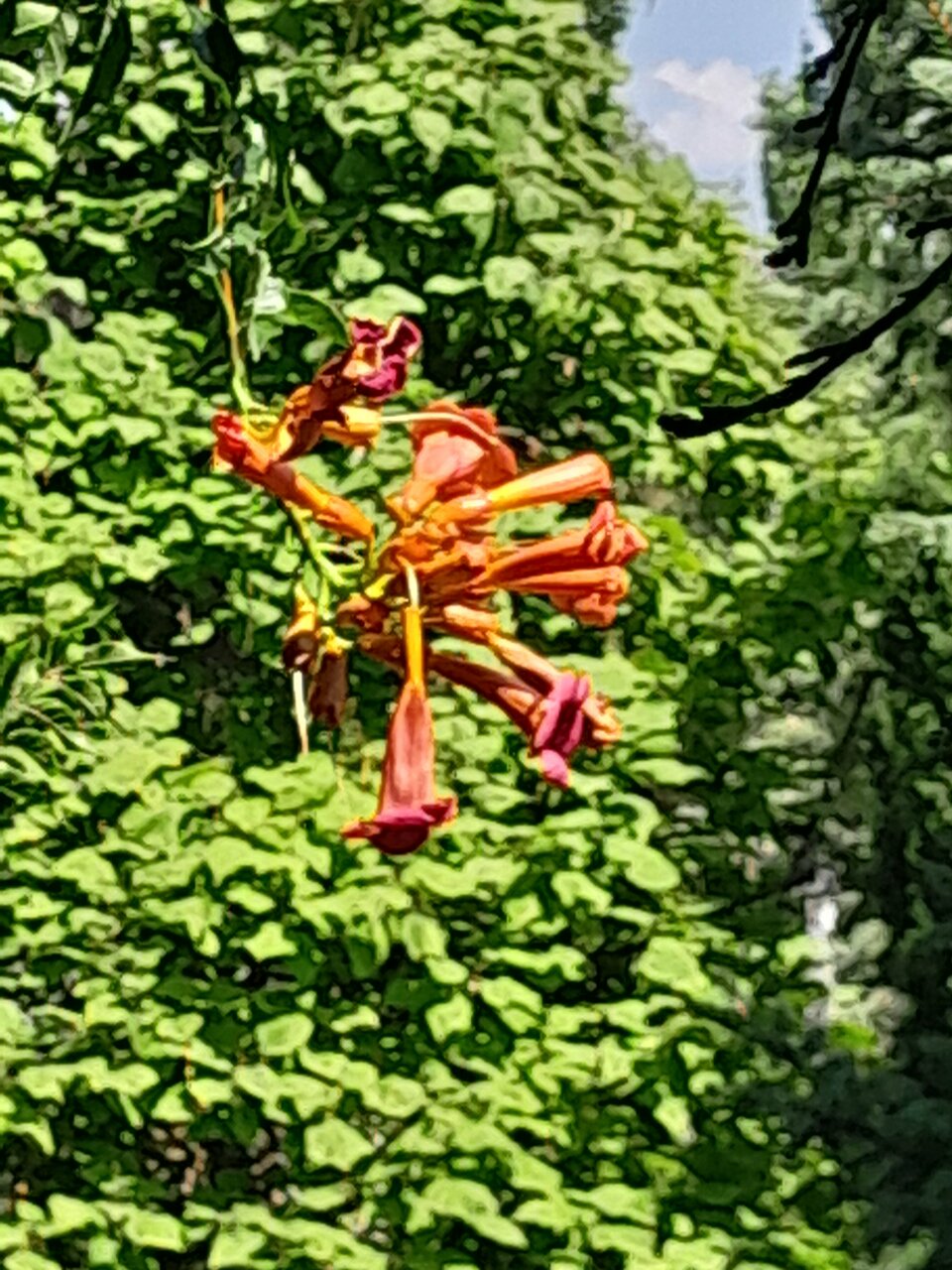 Гостиница Крымское Приазовье Мысовое-158