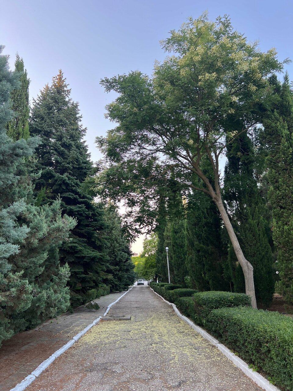 Гостиница Крымское Приазовье Мысовое-164