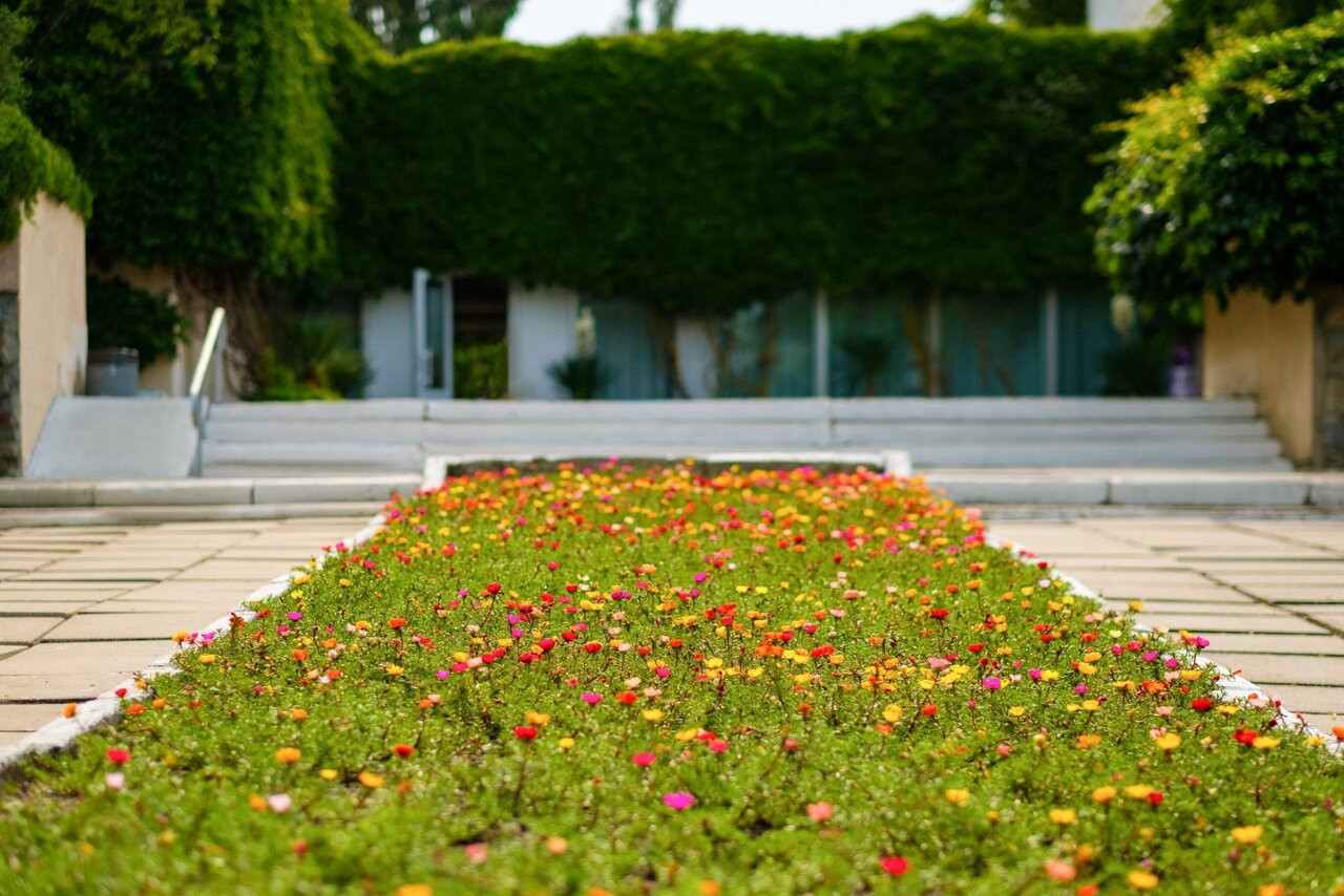 Гостиница Крымское Приазовье Мысовое-20