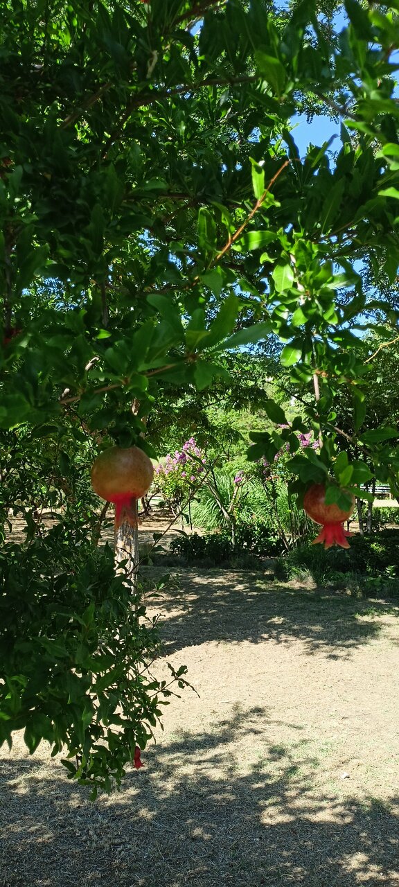 Гостиница Крымское Приазовье Мысовое-193