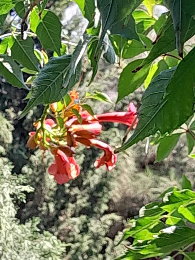 Гостиница Крымское Приазовье Мысовое-188