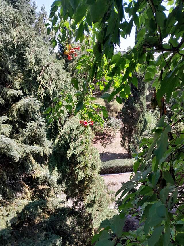 Гостиница Крымское Приазовье Мысовое-194