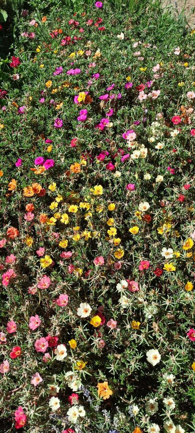 Гостиница Крымское Приазовье Мысовое-150