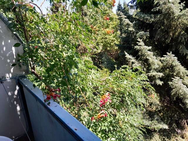 Гостиница Крымское Приазовье Мысовое-187