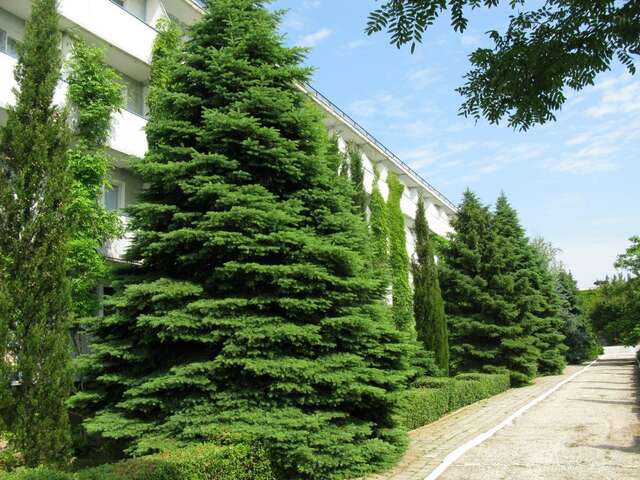 Гостиница Крымское Приазовье Мысовое-60