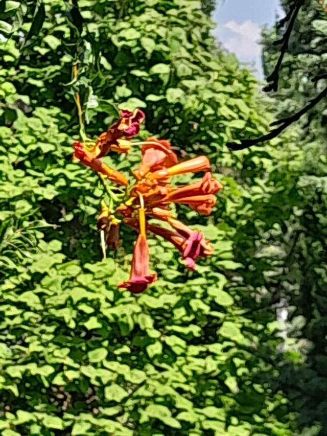 Гостиница Крымское Приазовье Мысовое-157