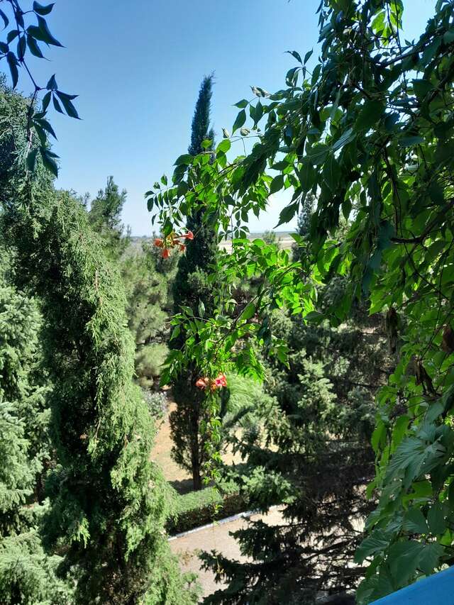 Гостиница Крымское Приазовье Мысовое-174