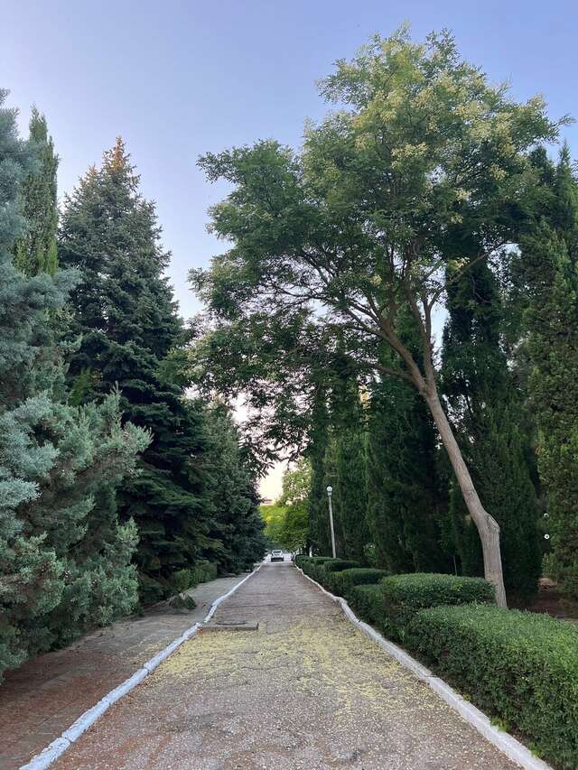 Гостиница Крымское Приазовье Мысовое-163