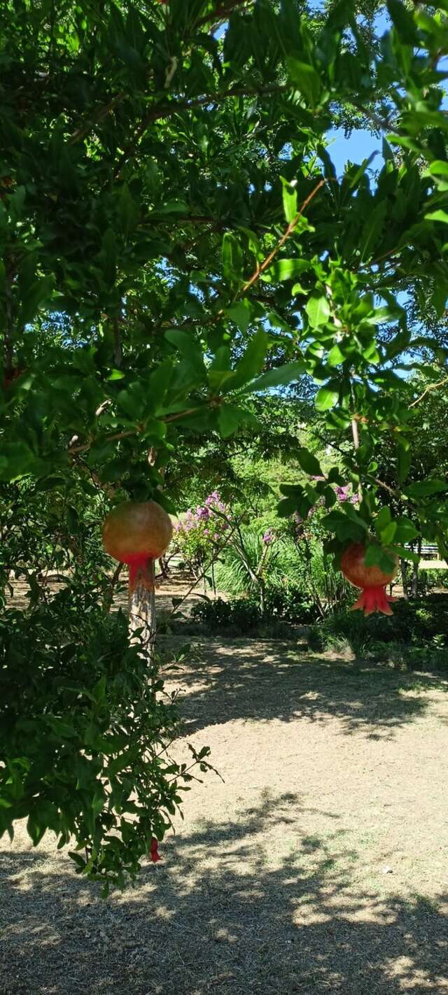 Гостиница Крымское Приазовье Мысовое-192